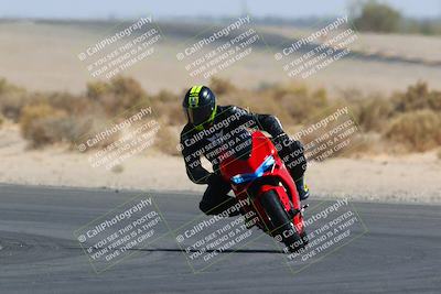 media/Mar-28-2022-Superbike Trackdays (Mon) [[b8603d0f67]]/Open Track Time/Turn 16/